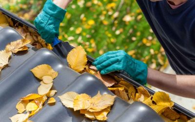 What’s The Best Time of Year to Clean Your Gutters?